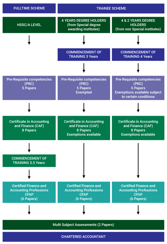 EXAMS-STRUCTURE-FOR-WEBSITE