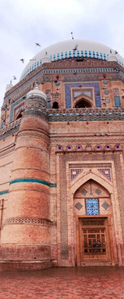 h2-multan-primary-culture h2-multan-primary-culture