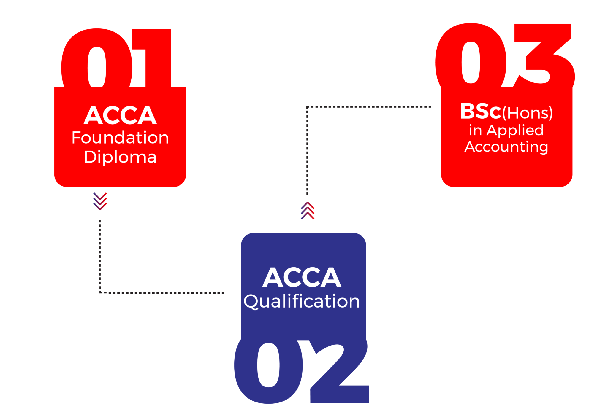 WHAT IS ACCA? - SKANS
